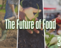 El futuro de los alimentos (es nuestra decisión)